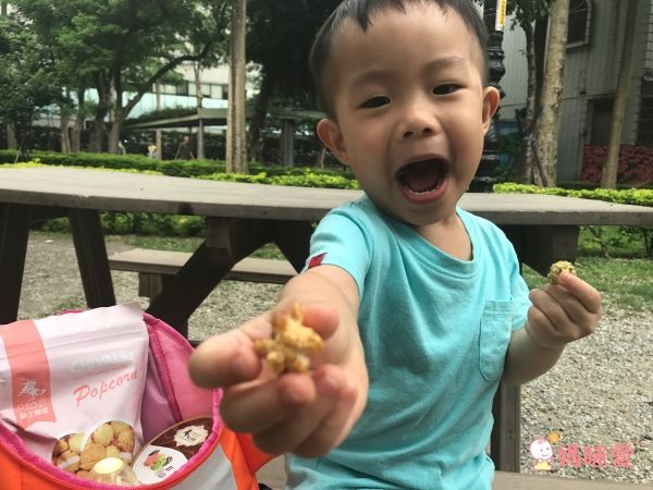 【騎士穀堡】爆米花 ☞ 低卡低糖低鈉、不罪惡零嘴