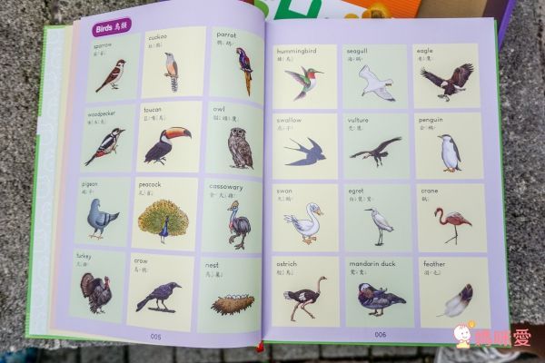 小牛津年度代表作♕圖解英漢大辭典點讀寶盒↘寓教於樂首選!