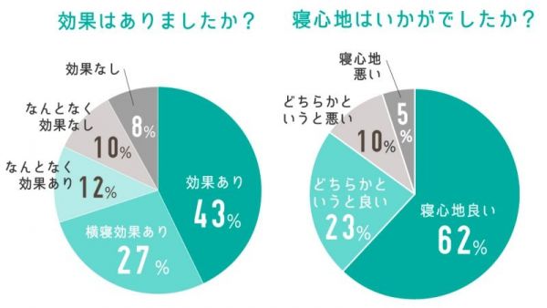 日本 SU-ZI - AS 快眠枕(低款)+專用替換枕套-水藍