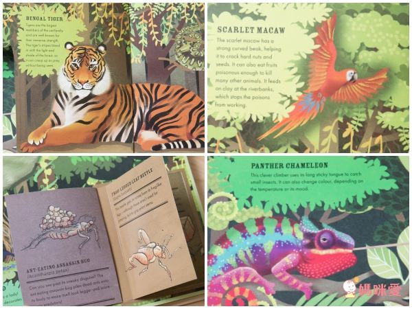 英國暢銷出版社Usborne♕Q&A知識百科翻翻書 / 英語擦寫學習書 / 立體有聲書