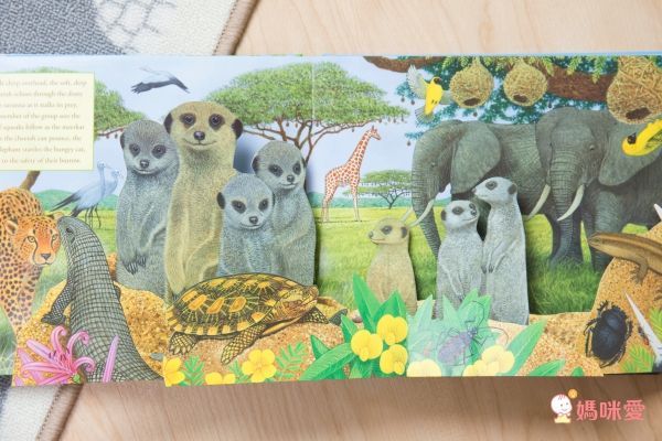 英國暢銷出版社Usborne♕Q&A知識百科翻翻書 / 英語擦寫學習書 / 立體有聲書