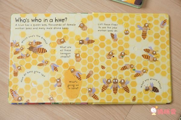 英國暢銷出版社Usborne♕Q&A知識百科翻翻書 / 英語擦寫學習書 / 立體有聲書