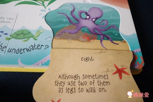 英國暢銷出版社Usborne♕Q&A知識百科翻翻書 / 英語擦寫學習書 / 立體有聲書