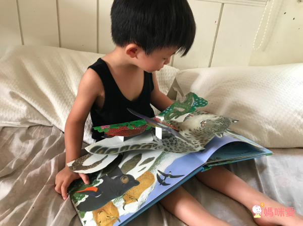 英國暢銷出版社Usborne♕Q&A知識百科翻翻書 / 英語擦寫學習書 / 立體有聲書