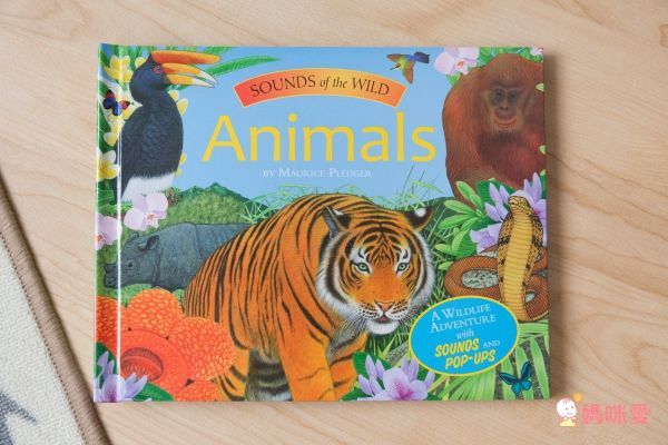 英國暢銷出版社Usborne♕Q&A知識百科翻翻書 / 英語擦寫學習書 / 立體有聲書