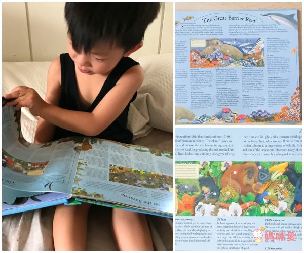 英國暢銷出版社Usborne♕Q&A知識百科翻翻書 / 英語擦寫學習書 / 立體有聲書