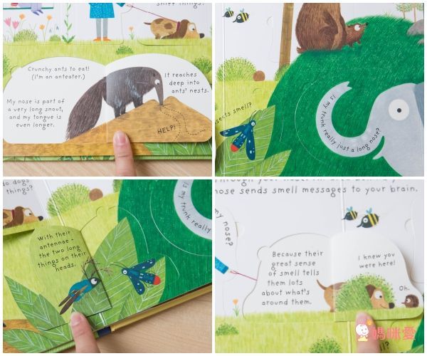 英國暢銷出版社Usborne♕Q&A知識百科翻翻書 / 英語擦寫學習書 / 立體有聲書