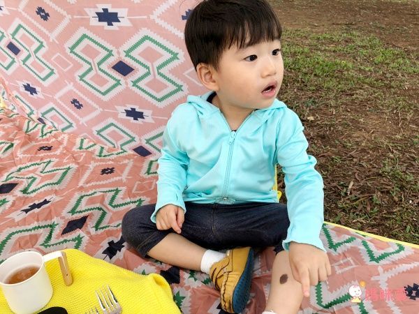 野餐質感大升級【日本製 高桑elfin】戶外餐廚用品