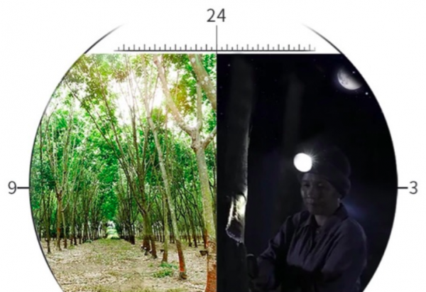 限量珍貴！泰國Napattiga 乳膠枕