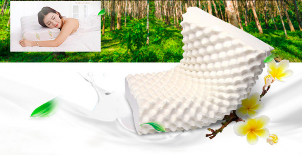 限量珍貴！泰國Napattiga 乳膠枕