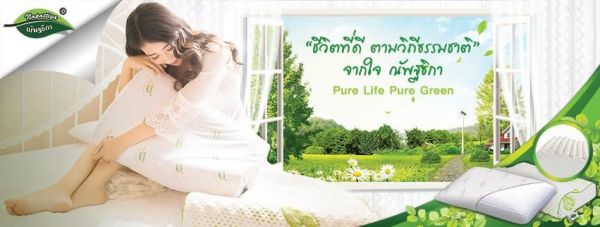 限量珍貴！泰國Napattiga 乳膠枕