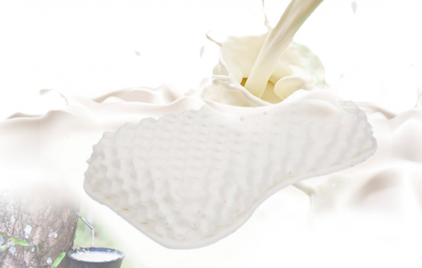 限量珍貴！泰國Napattiga 乳膠枕