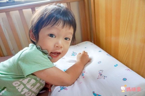 限量珍貴！泰國Napattiga 乳膠枕