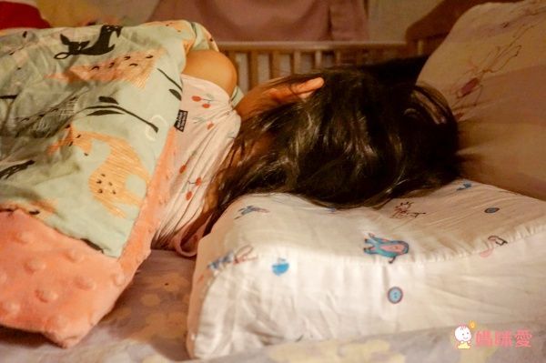 限量珍貴！泰國Napattiga 乳膠枕