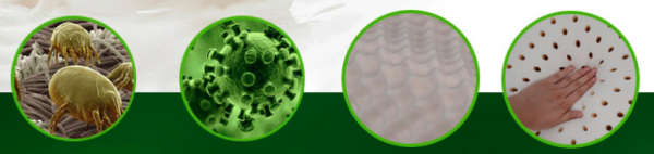 限量珍貴！泰國Napattiga 乳膠枕