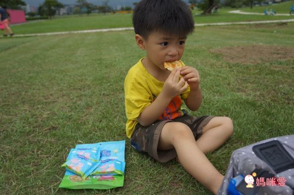 孩子最愛❤佩佩豬餅乾 / 100%天然水果乾 / 進口特厚無籽梅乾