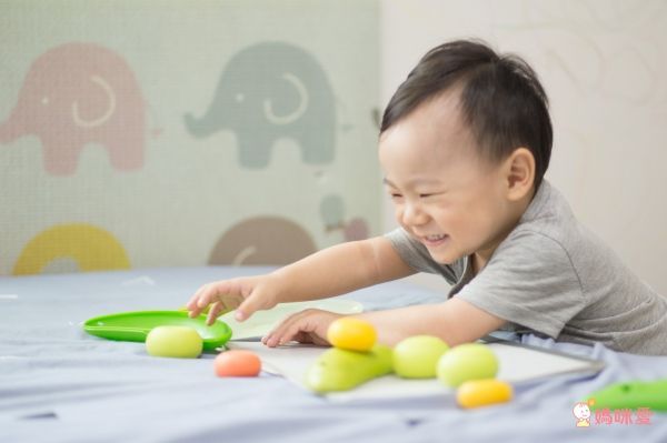 【台灣 Weplay】童心園潛能開發積木／益智玩具系列