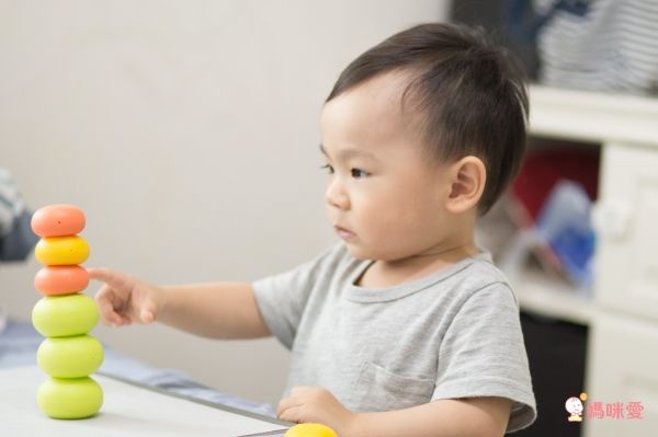 【台灣 Weplay】童心園潛能開發積木／益智玩具系列