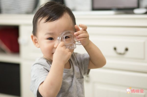 【台灣 Weplay】童心園潛能開發積木／益智玩具系列