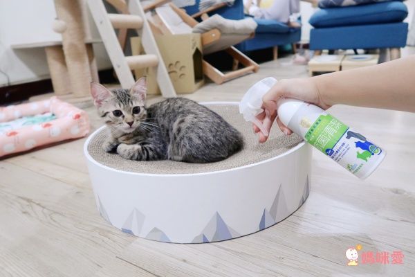 【黃金盾®】長效抗病毒、抗菌噴劑/噴霧 可對抗流感病毒、腸病毒