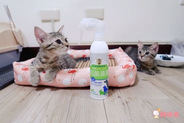 【黃金盾®】長效抗病毒、抗菌噴劑/噴霧 可對抗流感病毒、腸病毒