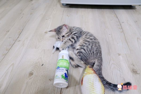 【黃金盾®】長效抗病毒、抗菌噴劑/噴霧 可對抗流感病毒、腸病毒