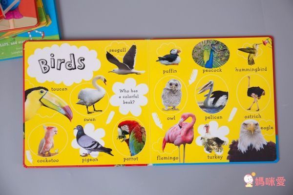 最活潑的童話故事 ✔鏤空立體書 ✔翻翻找找書 ✔驚喜音效書✔睡前長篇讀本