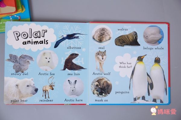 最活潑的童話故事 ✔鏤空立體書 ✔翻翻找找書 ✔驚喜音效書✔睡前長篇讀本