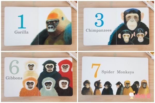 幼兒啟蒙童書推薦★Amazon 5星硬頁書＆翻翻書展！團購優惠65折起↘