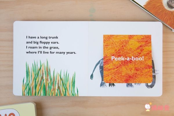 全球知名童書大師艾瑞卡爾Eric Carle ★英文認知硬頁書★ 一歲就能入手～給幼兒最棒的英文學習禮物！