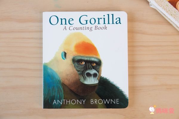 幼兒啟蒙童書推薦★Amazon 5星硬頁書＆翻翻書展！團購優惠65折起↘