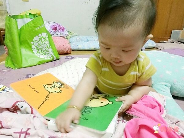 幼兒啟蒙童書推薦★Amazon 5星硬頁書＆翻翻書展！團購優惠65折起↘