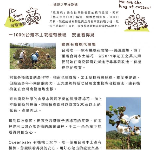 韓國超人氣 POGNAE NO.5 超輕量機能坐墊型背巾