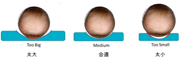 西班牙mimos頭型枕