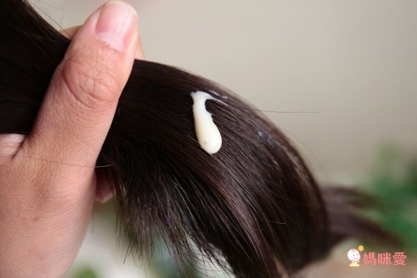 綠藤生機 身體洗沐系列 / 臉部保養