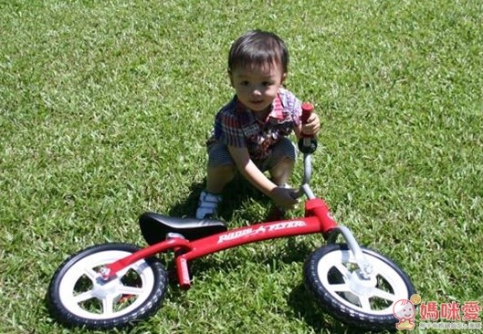  RadioFlyer 領航者平衡車 