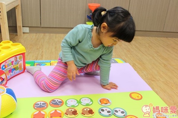 美國Petit Collage益智玩具