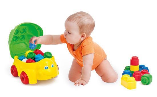 ★ Clemmy 烏龜桶 15pcs