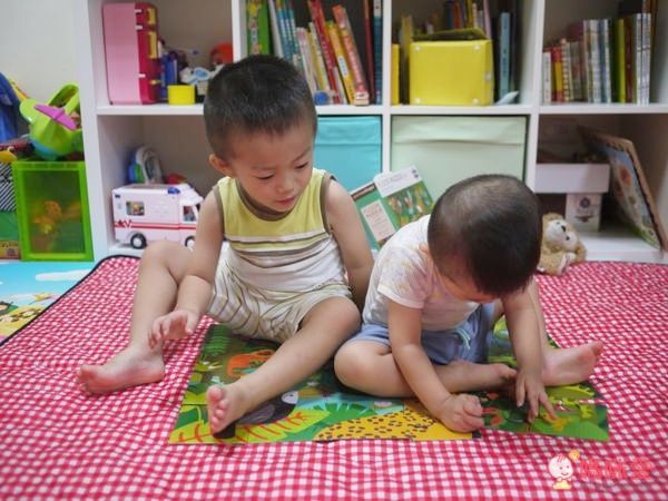 ♦地板拼圖-雨林動物♦