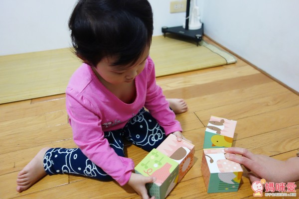 美國 Petitcollage 益智玩具 方塊拼圖