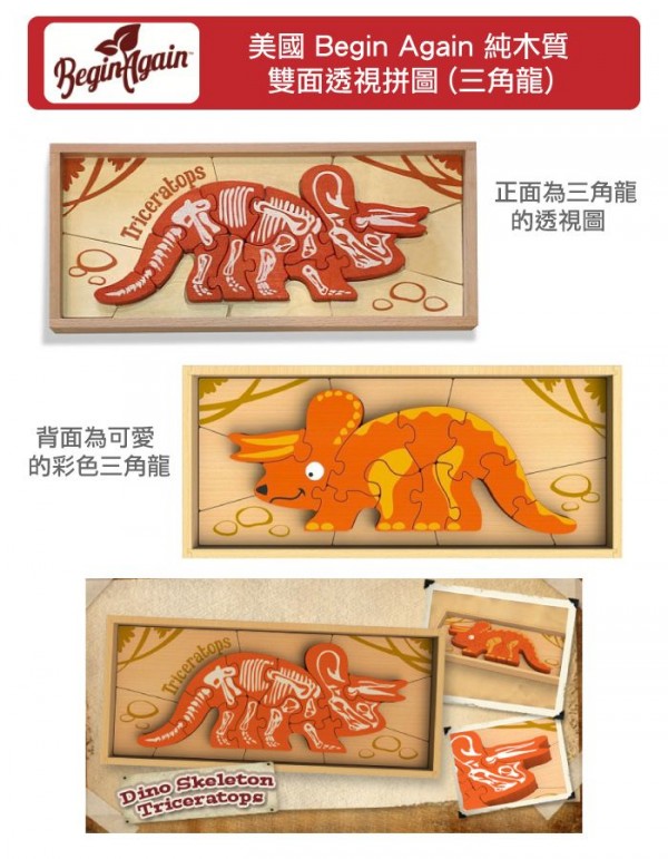 ✮new！美國 Begin Again 透視木質拼圖(恐龍迷必備)