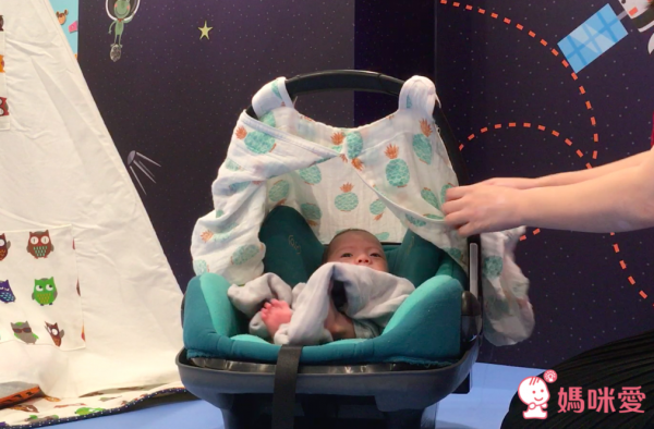 美國Bebe au lait 汽座蓋巾