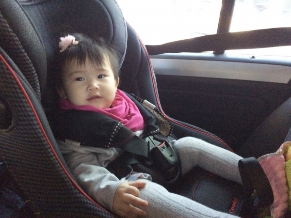 韓國製 TEAM 褲襪