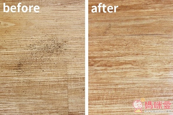 Shark 鯊科蒸汽地面清潔機