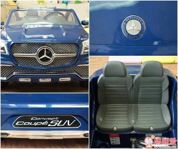 賓士 GLE 豪華雙人座跑旅(W489-B01)