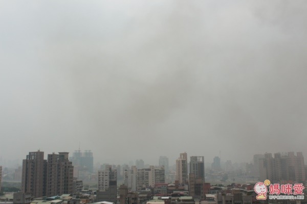 台灣製造兒童口罩, 成人立體口罩