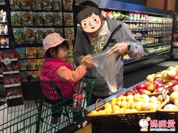 Yonanas冰淇淋機 / Nesco食物乾燥機