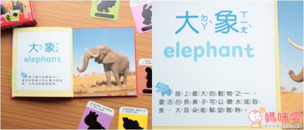 幼福兔子故事機