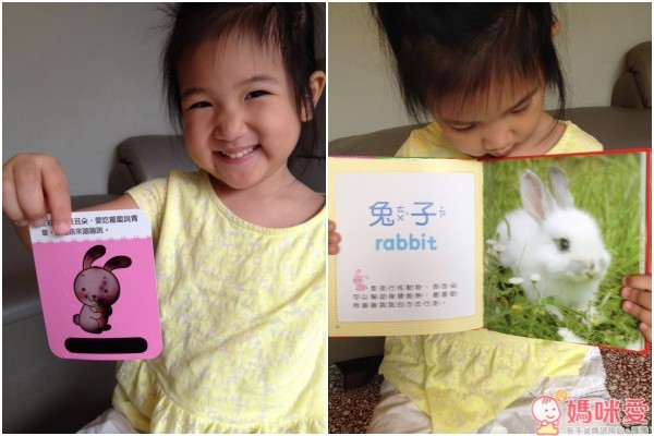 【幼福文化】兔子故事機 / 點讀筆 / 溫感認知卡