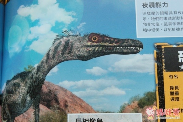 三采文化 3D 擴增實境 APP 互動書